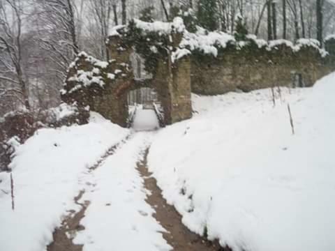 Kuca Za Odmor"Miran San" Villa Podgaric ภายนอก รูปภาพ