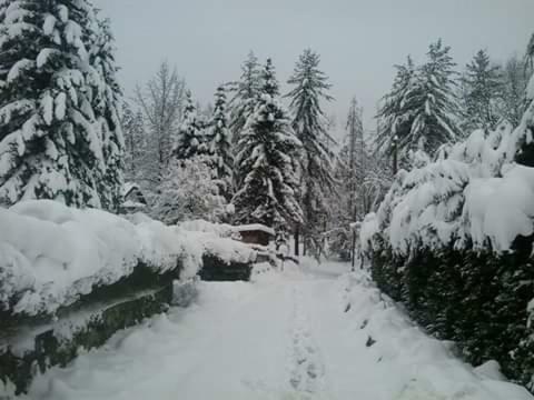 Kuca Za Odmor"Miran San" Villa Podgaric ภายนอก รูปภาพ